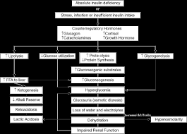 The most urgent goals for treating diabetic ketoacidosis are rapid intravascular volume repletion, correction of hyperglycemia and acidosis, and. Management Of Diabetic Ketoacidosis In A Child Chapter 6 Case Studies In Pediatric Critical Care