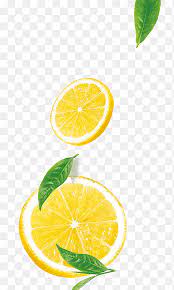 Slice of lemon, mojito juice cocktail lime ice cube, lemon ice, food, leaf, citrus png. Lemon Png Images Pngegg
