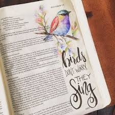 Look At The Birds Of The Air Verse Pin On Biblical