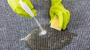 Die besten mittel für teppiche. Teppich Reinigen Mit Diesen Geraten Und Hausmitteln Gelingt Es