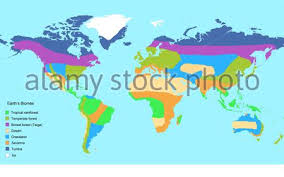 Due to this, one of their primary characteristics is the hot and wet climate. Map Of Earth S Major Global Biomes Including Tropical Rainforest Temperate Forest Boreal Forest Taiga Desert Grassland
