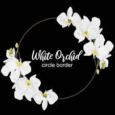 Black And White Flower Background Png Floral White Orchid Flower Circle Border Frame Circle Orchid Png And Vector With Transparent Background For Free Download Flower Circle Orchid Flower Orchids