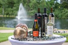 Summer Wine Social | Wine + Bites