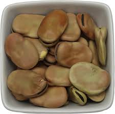 Image result for Vicia faba