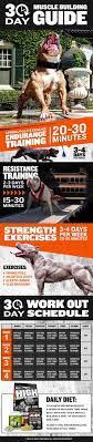 The 30 Day Guide Dog Muscle Building Workouts Bully Max Muscle Building Workouts Build Muscle Muscle