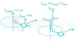 The momentum of a body remains the same as long as there is no external forces acting on it. Solved In An Orbital Motion The Angular Momentum Vector Is