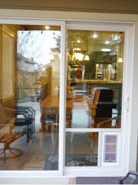 Hale in glass pet door. In Glass Pet Doors Idaho Pet Door