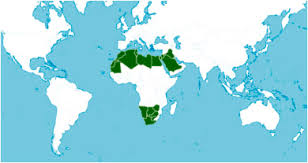 Image result for Deverra burchellii