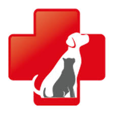 Your answers will help us determine which vaccinations and tests are right for your pet. Emergency Vet In El Paso Tx El Paso Animal Emergency