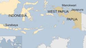 The surabaya 'monkey' video had been, as one commentator put it,. Papua Protests Racist Taunts Open Deep Wounds Bbc News