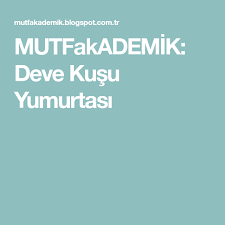 Mutfakademik Deve Kusu Yumurtasi Kusu Deve Pasta Tarifleri