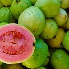 Dengan demikian, setiap produsen batu bata merah pasti menjadikan standar ini sebagai acuan misalnya saja untuk bata merah biasa dan bata merah oven, kedua jenis bata tersebut cenderung. Jual Bibit Jambu Biji Getas Merah Kendal Unggul Termurah Kartani Co Id
