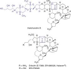 Image result for Eribulin