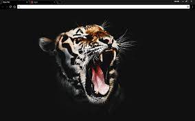 Black Tiger Google Chrome Theme Wallpaper Google Themes Chromebook