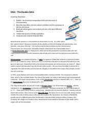 To build some extra context we also need a little bit of empirically determined knowledge. Dna Coloring Worksheet 1 Docx Dna The Double Helix Learning Objectives 1 Explain The Chemical Composition Dna And Structure Of Chromosomes 2 Describe Course Hero