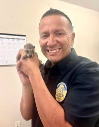 Police Chief and animal rescue. Whatever needs to be done. Trying to make  the best of our storm detail here in my Jamaica Beach. #racoon 👀