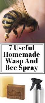 How do you make bees go away? 7 Useful Homemade Wasp And Bee Spray Kill Them Safely Bee Spray Insect Spray Wasp