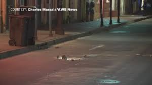 How to play grand piece online roblox game. French Quarter Rats Disappearing As New Orleans Uses Pandemic To Its Advantage Wzzm13 Com