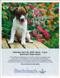 Adopting a pet isn't as easy as walking into a shelter and saying, i choose you. most shelters and rescue organizations want to make sure that their animals go to homes that are appropriate for the pet, and that the new pet's adoptive owners understand the responsibility they're. Dog Adoption Events Mn Cat S Blog