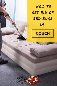How To Get Rid Of Bed Bugs In Couch Easy Instructions Rid Of Bed Bugs Kill Bed Bugs Signs Of Bed Bugs