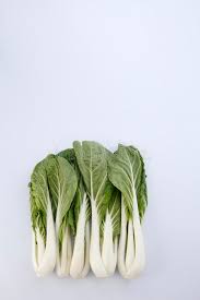 Napa utawa napa gobis ( brassica rapa subsp. Pak Choy Oder Sawi Putih Stockbild Bild Von Organisch 63908635