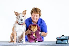 *puppy match guarantee only valid on competing pet store pricing not breeder pricing. Fundraising Events Promotions San Diego Humane Society