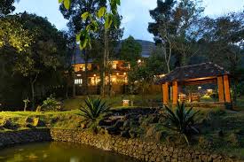 homestays with shared kitchen in munnar