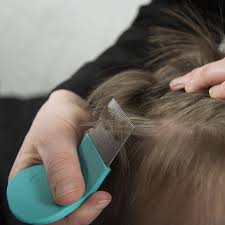 essential oils for lice using a