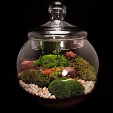 Woodland Forest Terrarium With Deer Fairy Garden Decor Fairy Garden Terrarium