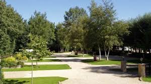 Salomon farm park was launched in 1996 through the generous donation of land by chris other recent changes at salomon farm park include the homestead dedication in 2019 and the salomon. Lincoln Farm Park Oxford Oxfordshire