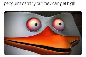 Analysis Kowalski Memes