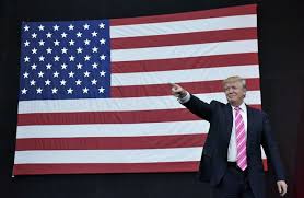 Hasil gambar untuk american flag einstein