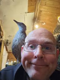 A cute little nosey parker