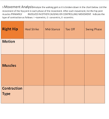 Solved 5 Movement Analysisanalyze The Walking Gait As It