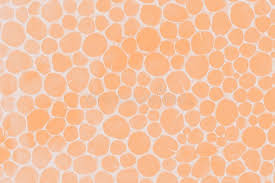 We did not find results for: Light Orange Peach Color Abstract Background With Blurred Lines Stock Image Image Of Soft Flowing 194065411