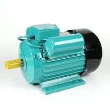 Cylindrical laminated core rotor with heavy bars of copper or in slip ring induction motors the rotor is wound type. Single Phase Double Capacitor Squirrel Cage Induction Motor Buy Single Phase Double Capacitor Squirrel Cage Induction Motor Single Phase Double Capacitor Motor Squirrel Cage Induction Motor Product On Alibaba Com