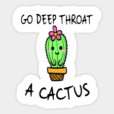 Get fast shipping and full guarantee. Go Deep Throat A Cactus Cactus Shirt Don T Touch Cactus Dont Touch Me Go Deep Throat A Cactus Sticker Teepublic