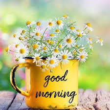 Wishing good morning is the perfect way to inspire your loved ones to make their day worth living. Flower Wallpaper Good Morning Image