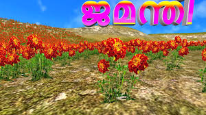Perhaps you might have a rose or. à´ª à´· à´ªà´™ à´™à´³ Flowers Learn Flower S Name For Kids Youtube