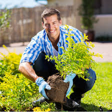 Toutes les infos pratiques à connaître sur les entreprises qui recrutent. Devenir Un Auto Entrepreneur En Jardinage En 3 Etapes Simples