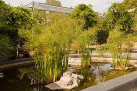 Die vorträge finden im hautgebäude des botanischen gartens statt. Tiergehege Stadt Chemnitz