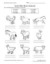 spanish animal vocabulary lesson plans worksheets lesson planet