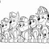 Mighty pups paw patrol ausmalbilder kostenlos / der real in bocholt verkauft paw patrol:. 1
