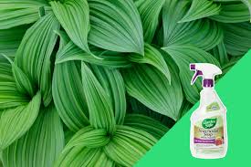 Dawn is the brand i use and have gotten amazing results when using this product to i created the diy pest control guide to save you time, money and help you protect the things you love from all types of pests. Things You Probably Shouldn T Clean With Dish Soap Reader S Digest