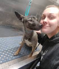 It's hard to believe we've only been in business for almost 2 years! What  started with a dream (and just doing nail trims!) has grown into a small  but mighty mobile grooming