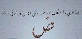 في اليوم العالمي للغة العربية تعر ف على أبرز القصائد التي نظمت من أجلها تقارير جريدة الزمان