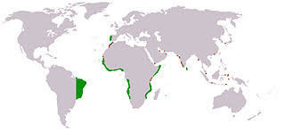 By 1815, the portuguese empire was four million square miles. File Portuguese Empire Map Jpg Wikimedia Commons