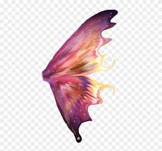 photo wing16 fairy wings transparent png clipart 2971754 pikpng fairy wings transparent png clipart