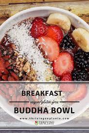 Breakfast Bowl A Vegan Buddha Bowl Meal To Start Your Day Recipe Breakfast Bowls Buddha Bowls Recipe Bowls Recipe