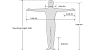 Ergonomic Standing Chair